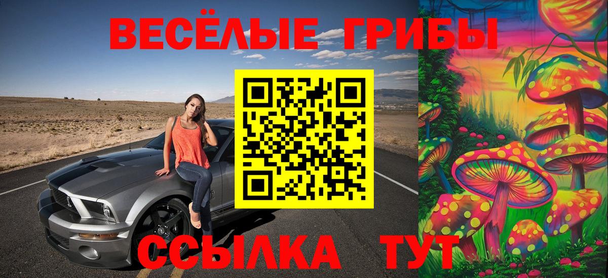 Псилоцибиновые грибы прущие грибы Красногорск