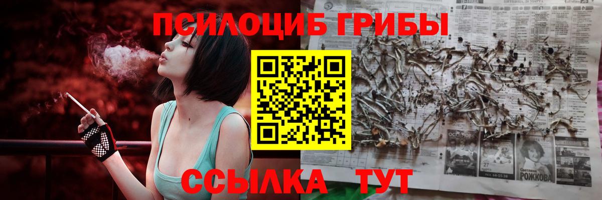 Красногорск  Псилоцибиновые грибы Psilocybe  Вход с VPN 